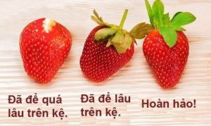 Chỉ 3 giây bạn đã biết cách chọn những quả dâu tây tươi ngon, không nhiễm hóa...