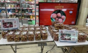 Vải thiều Việt Nam 500.000 đồng/kg cháy hàng tại Paris