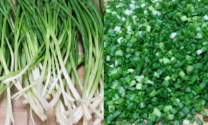 Mua nhiều hành lá về ăn không hết, hãy làm ngay cách này sẽ để được nửa năm