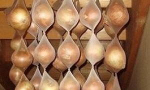 Những tuyệt chiêu giữ tươi rau củ cực lâu, không ngờ cực hữu ích thời điểm này