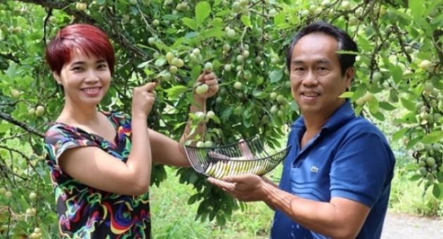 Bí quyết 'trốn' trong nhà tránh dịch của cặp vợ chồng Việt