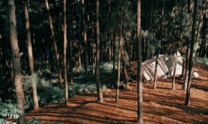 Người Hà Nội đi cắm trại trở lại