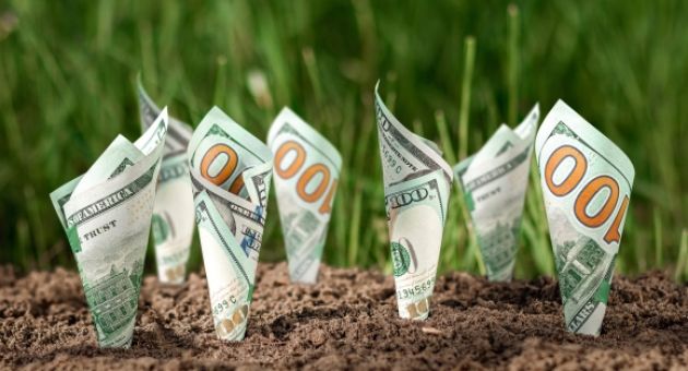 8 gợi ý giúp tạo nguồn thu nhập thụ động