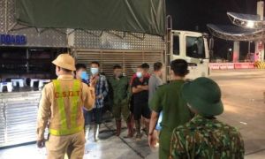 4 người trốn trong thùng xe chở heo để thông chốt kiểm dịch