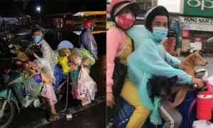 Cà Mau: Địa phương xác nhận đã tiêu hủy đàn chó của gia đình chở xe máy về quê