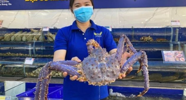 Xuất hiện cua hoàng đế tím nhập khẩu vào Việt Nam