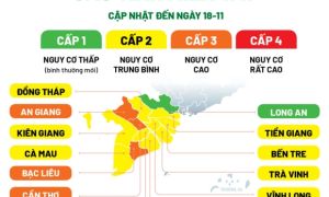 Infographic: F0 tăng, bản đồ cấp độ dịch miền Tây thay đổi ra sao?