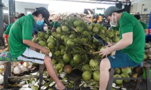 Dịch ổn, hàng ngàn lao động đã quay trở lại TP.HCM mưu sinh