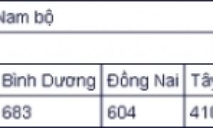 Số ca F0 trong cộng đồng tại nhiều địa phương tiếp tục tăng cao