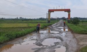 Mượn đường thi công cao tốc Đà Nẵng - Quảng Ngãi, đường nát mà không chịu sửa