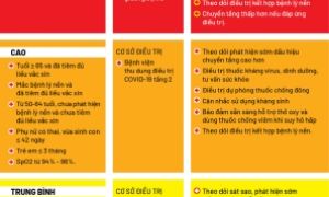 Đồ họa các nhóm tuổi và 20 bệnh lý có nguy cơ trở nặng khi mắc COVID-19