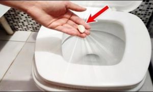 Lấy ngay 1 tép tỏi vào bồn cầu, biết công dụng nhà nhà đều muốn học theo