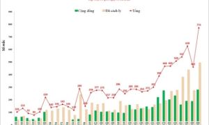 Số F0 cộng đồng, bệnh nhân tử vong tăng
