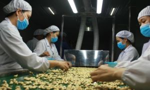 Nông sản, thực phẩm chế biến Việt Nam liên tục 'ghi dấu' trên bản đồ xuất khẩu