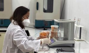 Thành tỷ phú nhờ 'học lỏm' nông dân