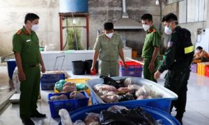 Hơn 10 tấn nội tạng heo không rõ nguồn gốc trong công ty thực phẩm