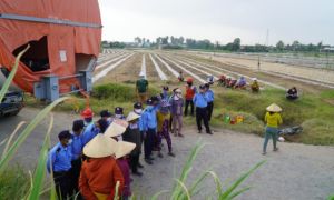 Lo sợ nhà máy điện gió gây ảnh hưởng, nhiều hộ dân không cho thi công