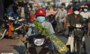 GDP Việt Nam năm 2021 ước tăng 2,58%