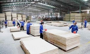 Người Việt bán 1 món hàng thu về 16 tỷ USD: Lập kỷ lục lịch sử