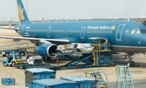 Vietnam Airlines bán đào, mai giao tận nhà