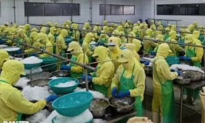 Cà Mau: Thưởng Tết Nguyên đán thấp nhất 200.000 đồng