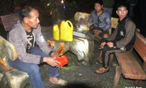 Thông hàng chục năm tuổi liên tiếp bị chặt, người dân bất bình