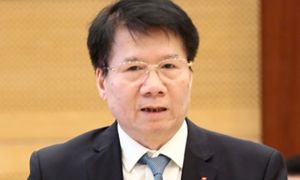 Bồi thường 1,8 tỷ, Thứ trưởng Trương Quốc Cường có được giảm án?