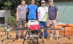 Học thạc sĩ tại Pháp, chàng trai trẻ về nước làm chủ trang trại bơ: Lãi 8 tỉ/năm