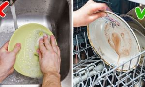 6 lỗi phổ biến khi dùng máy rửa bát