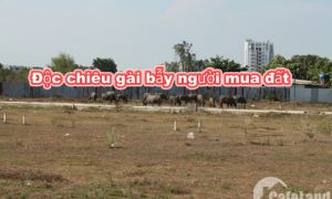 “Choáng” trước điều khoản gài bẫy người mua đất