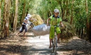 Dạy con làm việc nhà không khó