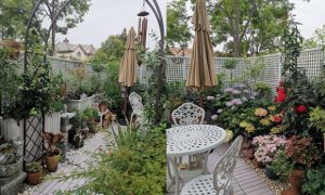 Khu vườn sân thượng 40m² được mẹ đảm thành phố tự tay làm từ A đến Z, khiến...