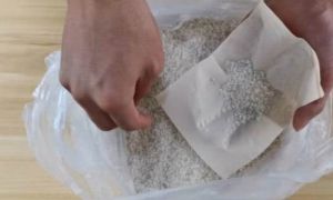 Gạo có ngon hay không chỉ cần dùng khăn giấy là biết, cả năm được ăn cơm dẻo...