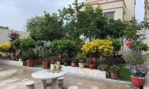 Bốn vị trí này trong ngôi nhà là 'bảo vật' phong thủy, đồng thời cũng là nơi...