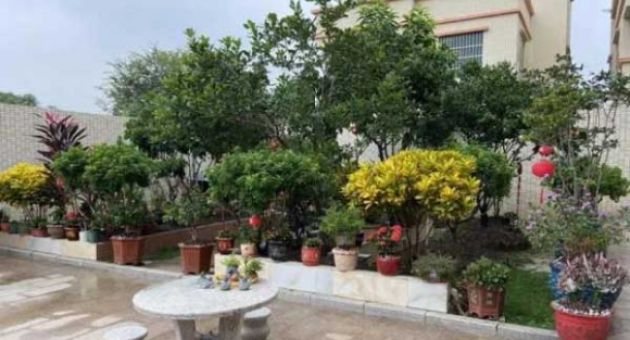 Bốn vị trí này trong ngôi nhà là 'bảo vật' phong thủy, đồng thời cũng là nơi...