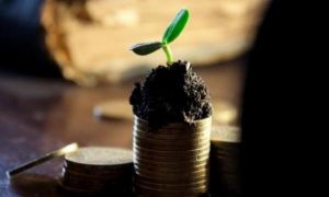 Phương pháp tiết kiệm nổi tiếng đơn giản mà vô cùng hiệu quả của người Nhật