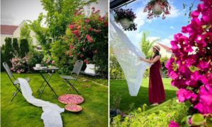 Khu vườn ngập hoa trái của người Việt ở Đức