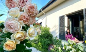 Làm vườn đậm chất Huế ở Hungary, bà mẹ Việt khiến bao người phải trầm trồ