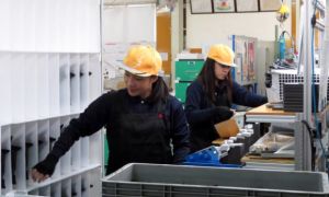 Nhật khảo sát thực tập sinh 7 nước gồm Việt Nam về việc ‘bị đuổi khi mang bầu’