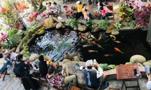 Từ nước ngoài trở về, tôi không dám đi ăn tiệm sang ở Việt Nam nữa