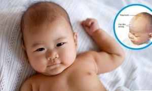 2 bộ phận của trẻ nhỏ rất mỏng manh, mẹ đừng tùy tiện chạm vào