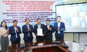 Lao động trình độ cao đẳng ở bốn ngành có cơ hội làm việc tại Đức