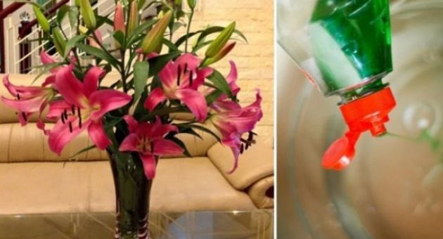 Nhỏ vài giọt nước này vào bình cắm hoa, đảm bảo để 10 ngày hoa vẫn tươi...