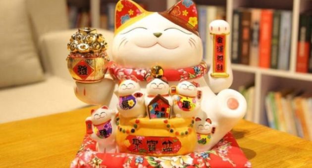 Những lưu ý khi sử dụng Mèo Thần Tài