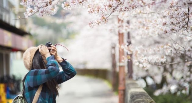 Quên thuốc nhuộm đi – Sống bớt căng thẳng có thể giúp tóc bạc của bạn đen trở...