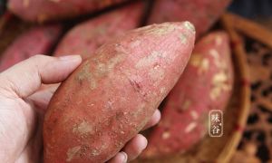 Mỗi sáng ăn một củ khoai lang tốt gấp trăm lần uống thuốc bổ