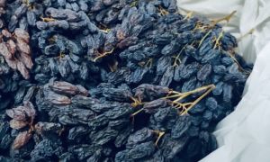 Các loại nho khô và lợi ích của chúng