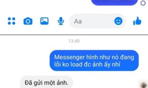 Người dùng Việt