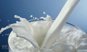 Bữa ăn hằng ngày của trẻ thiếu đến 50% nhu cầu vi chất