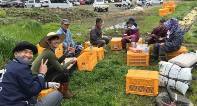 Đồng Yên mất giá, lao động đi làm việc tại Nhật Bản băn khoăn ở hay về?